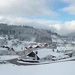 Apartamento Entre Et Pistes Gérardmer