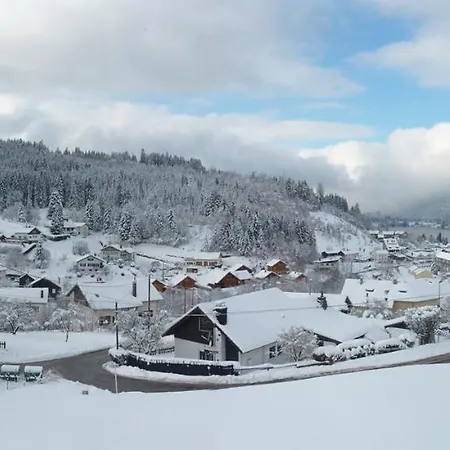 Apartment Entre Et Pistes Gerardmer